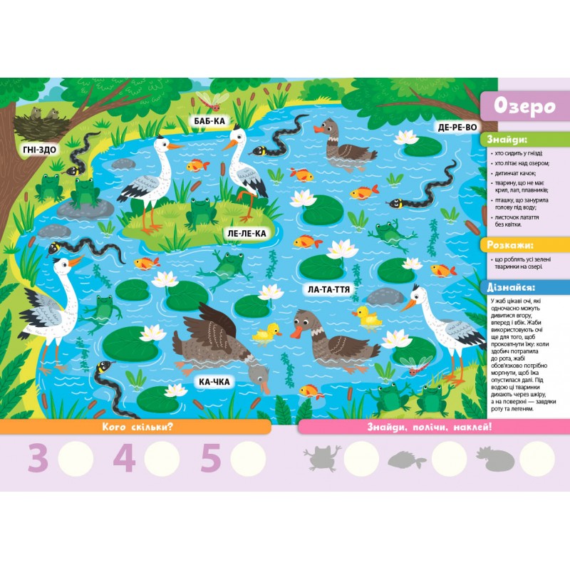Знайди! Прочитай! Полічи! УЛА Лісова родина 42 наліпки