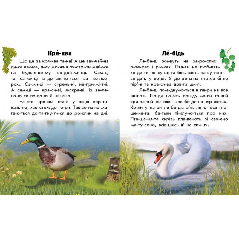 Книга Читаю про Україну. Тварини річок та морів Ранок