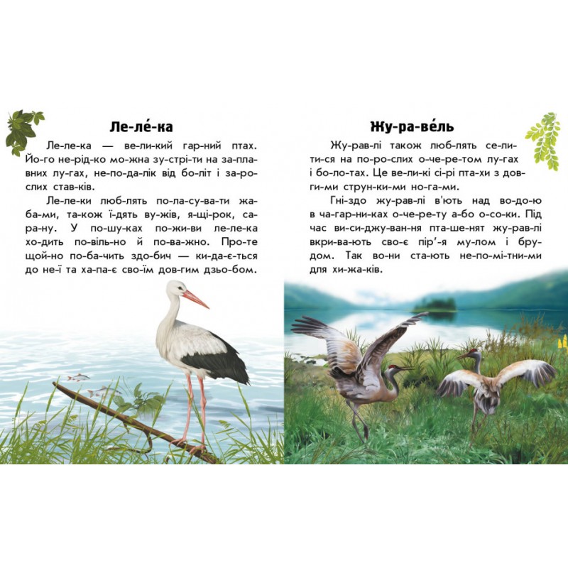 Книга Читаю про Україну. Тварини степів Ранок