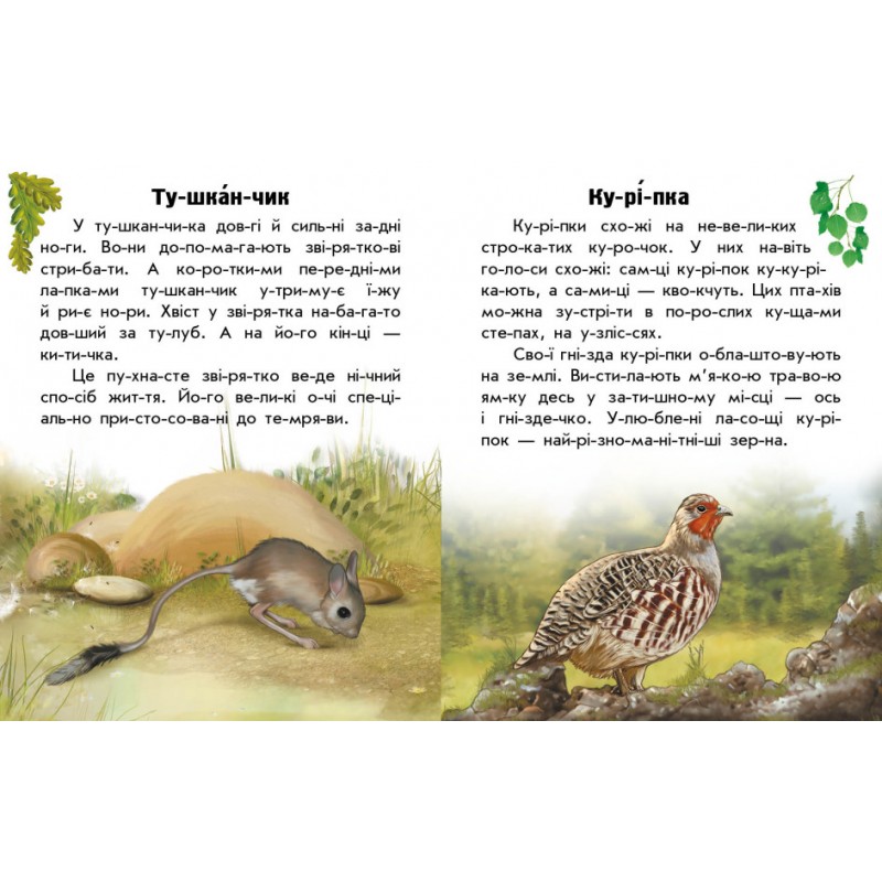 Книга Читаю про Україну. Тварини степів Ранок