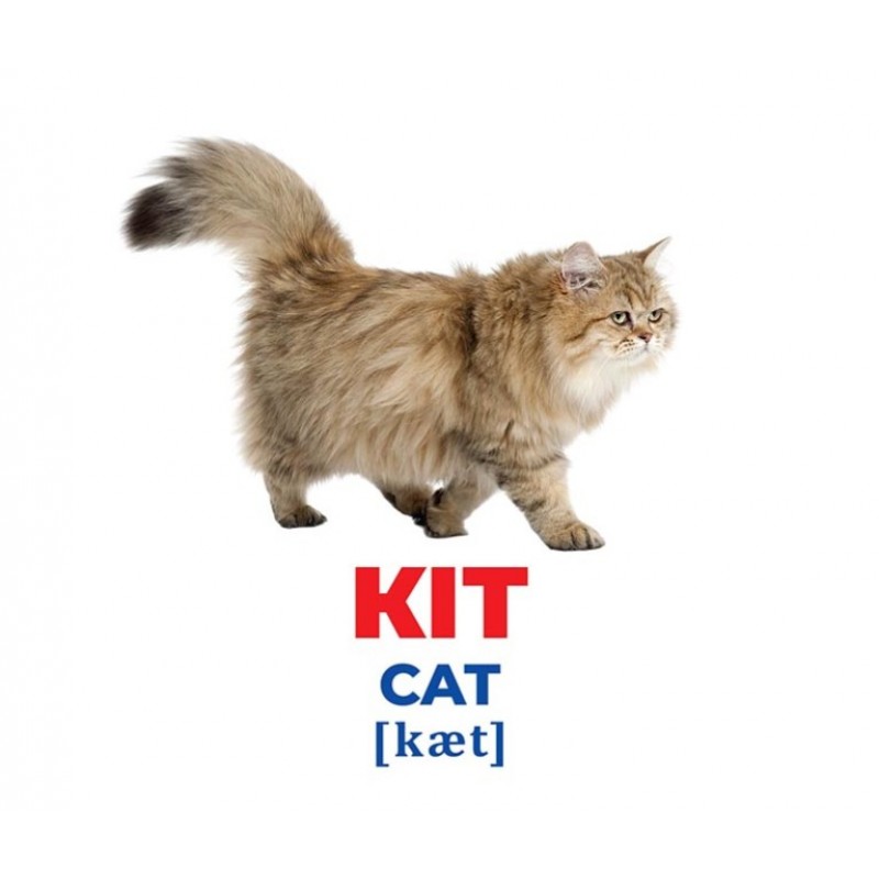 Геній з пелюшок Свійські тварини Демонстраційний матеріал Ранок