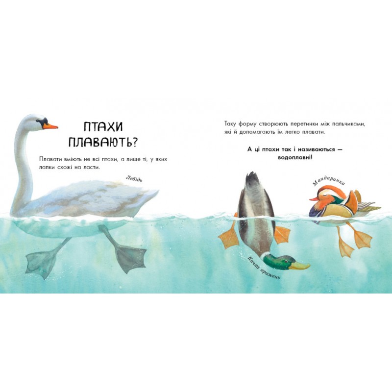 Книга Птахи різні та дивовижні. В гостях у природи Ранок Чуб Наталія