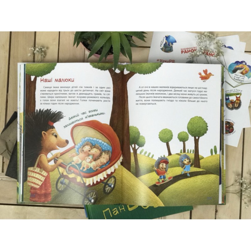 Книга Пан Їжак Зірки Pro Ранок Олексій Горбунов