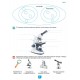 НУШ Робочий зошит Генеза Біологія 7клас Практичні роботи Кулініч