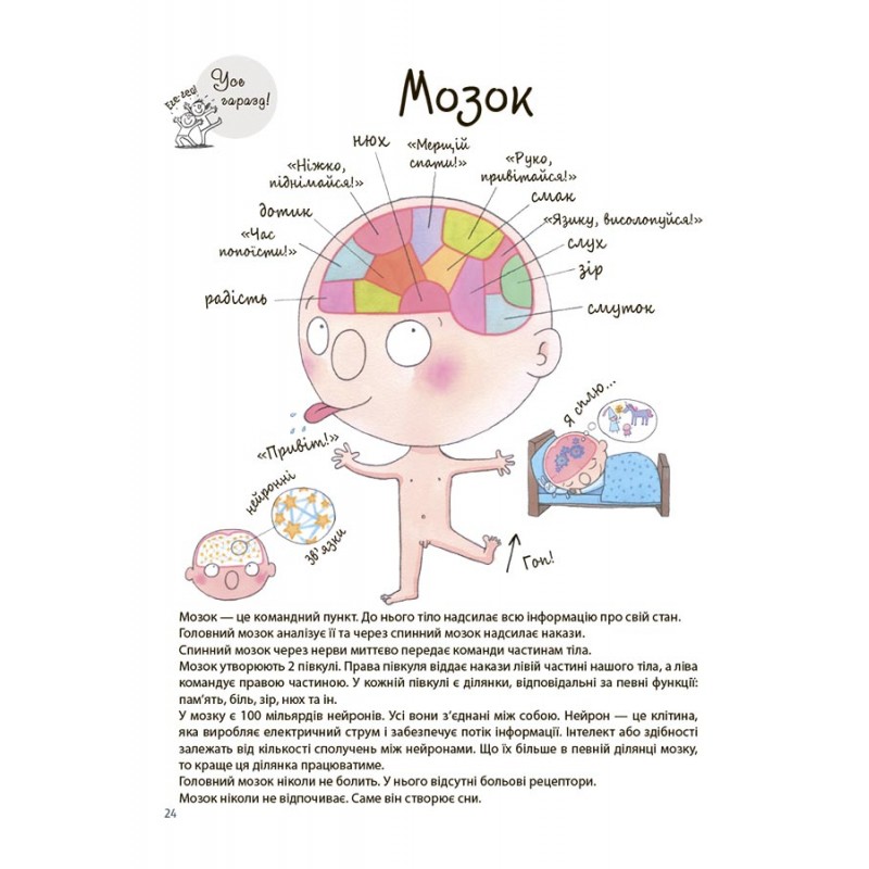 Як влаштоване моє тіло: книжка для дітей (і дорослих!). 4+ Основа - Мішель Сімс