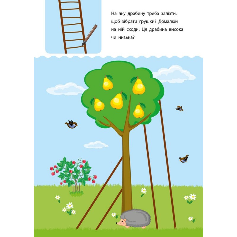 Навчалочка. Креативна навчалочка. 3-4 роки АРТ/Ранок (Мусієнко Н.В.)